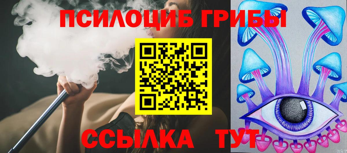 Долгопрудный  Псилоцибиновые грибы Psilocybine cubensis  Псилоцибиновые грибы MAGIC MUSHROOMS  Вход с VPN 