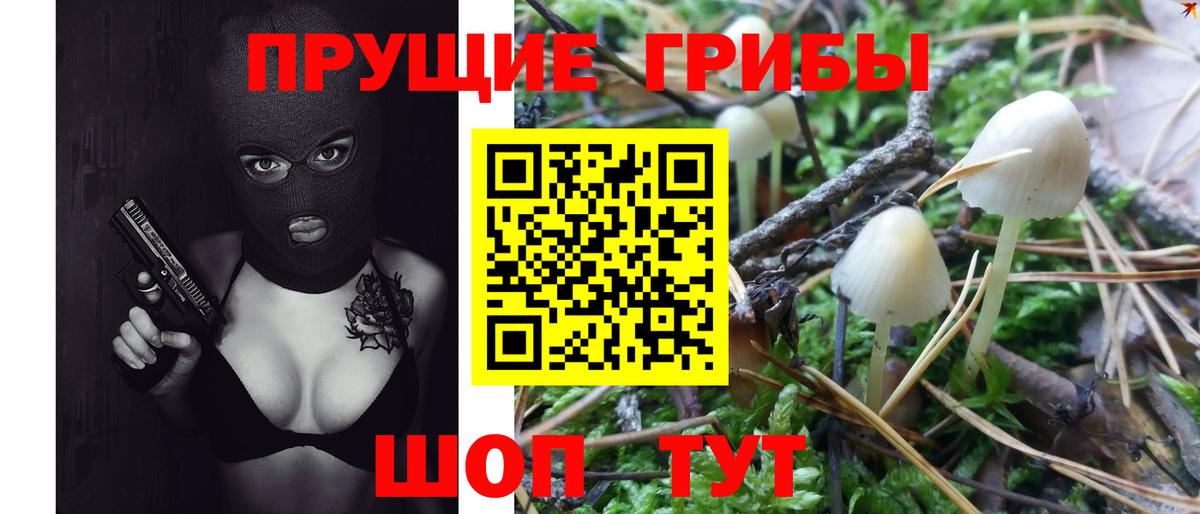 Галлюциногенные грибы мухоморы Долгопрудный